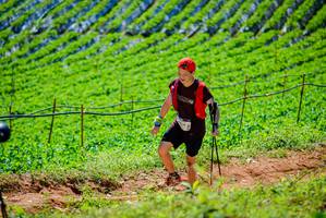 BIB: 
                            <button type="button" onclick="openModal(19163454)" class="btn btn-primary btn-sm float-right btn-popup" data-toggle="modal" data-target=".modal-high-quality">
                        <i class="fas fa-shopping-cart"></i> Add to Cart
                    </button>
                                            <button type="button" onclick="isThisMe(19163454, true)" class="btn btn-success btn-sm float-right btn-popup btn-isme hidden" data-toggle="tooltip" data-placement="bottom" title="นี่คือรูปของคุณใช่ไหม คลิกที่นี่เพื่อเอาเข้าอัลบั้ม">
                        <i class="fas fa-plus"></i> Add to album
                    </button>
                    <button type="button" onclick="isThisMe(19163454, false)" class="btn btn-warning btn-sm float-right btn-popup btn-isnotme hidden">
                        <i class="fas fa-ban"></i> Remove from album
                    </button>